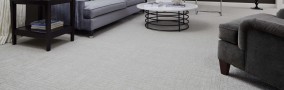 Choose a Beautiful Stainmaster Xtra Life Carpet 